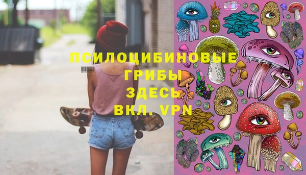 дживик Заволжье