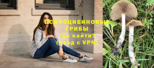 гидра Заволжск