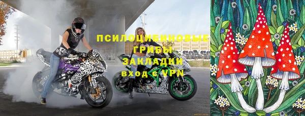 гидра Заволжск