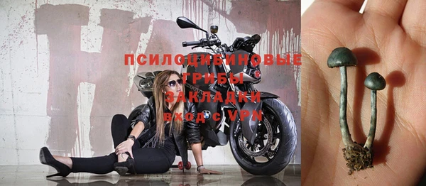 дживик Заволжье