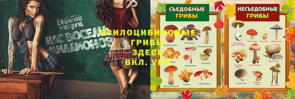 гидра Заволжск